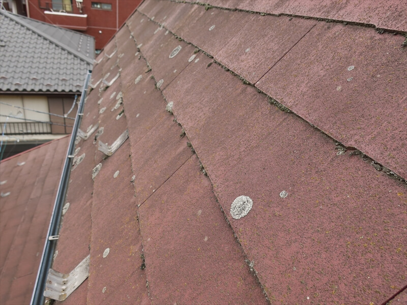 屋根にコケ汚れはありますが、大きなトラブルはなさそうです。